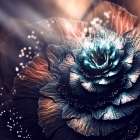 共享、免费还是公有?开源软件的真正定义