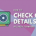 如何知道你的 Linux 用的哪种显卡?