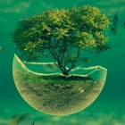 新闻速读 > elementaryOS 5.1.4 可以限制自己的使用时间