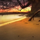 为什么 strace 在 Docker 中不起作用?