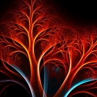 新闻速读 > 2019 年热门开源项目中的漏洞增加了一倍以上