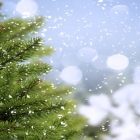 新闻速读 > Ripple20 漏洞影响数亿设备