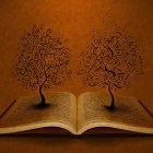 Foliate:适用于 Linux 的现代电子书阅读器应用