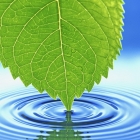 FreeFileSync:开源的文件同步工具