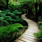 OnionShare:一个安全共享文件的开源工具