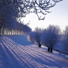 #新闻拍一拍# 据称软银将把 Arm 卖给 Nvidia,价格超过 400 亿美元