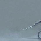 了解一下 Fossil,一个 Git 的替代品